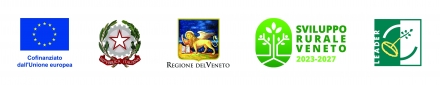 FINANZIAMENTI PUBBLICI - Istituto Carenzoni Monego